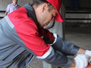 IMG_1019 IMG_1019