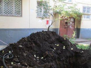IMG_0001 IMG_0001