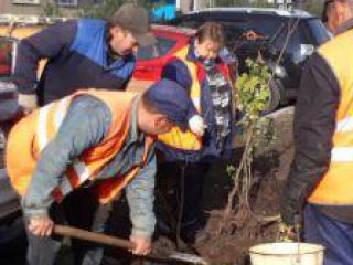 IMG-20170923-WA0023 IMG-20170923-WA0023