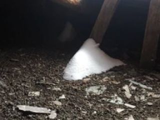 IMG_3456-22-11-17-09-52 IMG_3456-22-11-17-09-52