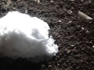 IMG_3457-22-11-17-09-52 IMG_3457-22-11-17-09-52