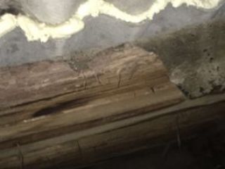 IMG_3459-22-11-17-09-52 IMG_3459-22-11-17-09-52