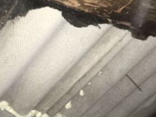 IMG_3463-22-11-17-09-52 IMG_3463-22-11-17-09-52