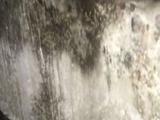 IMG_3466-22-11-17-09-52 IMG_3466-22-11-17-09-52