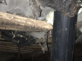 IMG_3474-22-11-17-09-52 IMG_3474-22-11-17-09-52