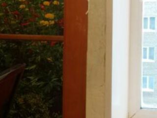 IMG_3482-22-11-17-09-52 IMG_3482-22-11-17-09-52