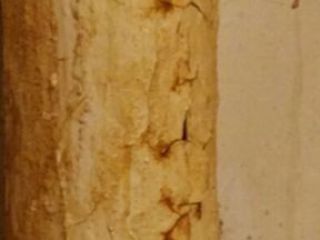 IMG_3486-22-11-17-09-52 IMG_3486-22-11-17-09-52