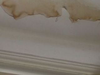 IMG_3487-22-11-17-09-52 IMG_3487-22-11-17-09-52