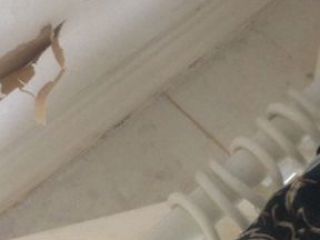 IMG_3489-22-11-17-09-52 IMG_3489-22-11-17-09-52