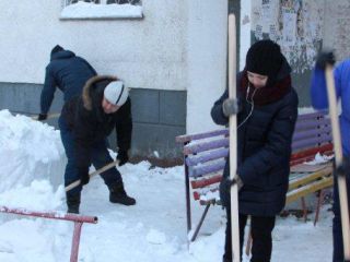 IMG_5595 IMG_5595