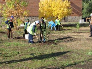 IMG_2139 IMG_2139