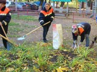 IMG_2197 IMG_2197