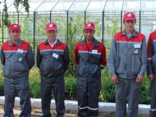 IMG_0101 IMG_0101